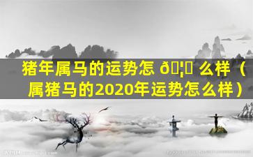 猪年属马的运势怎 🦅 么样（属猪马的2020年运势怎么样）